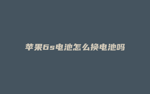 苹果6s电池怎么换电池吗