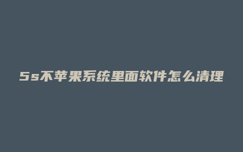 5s不苹果系统里面软件怎么清理